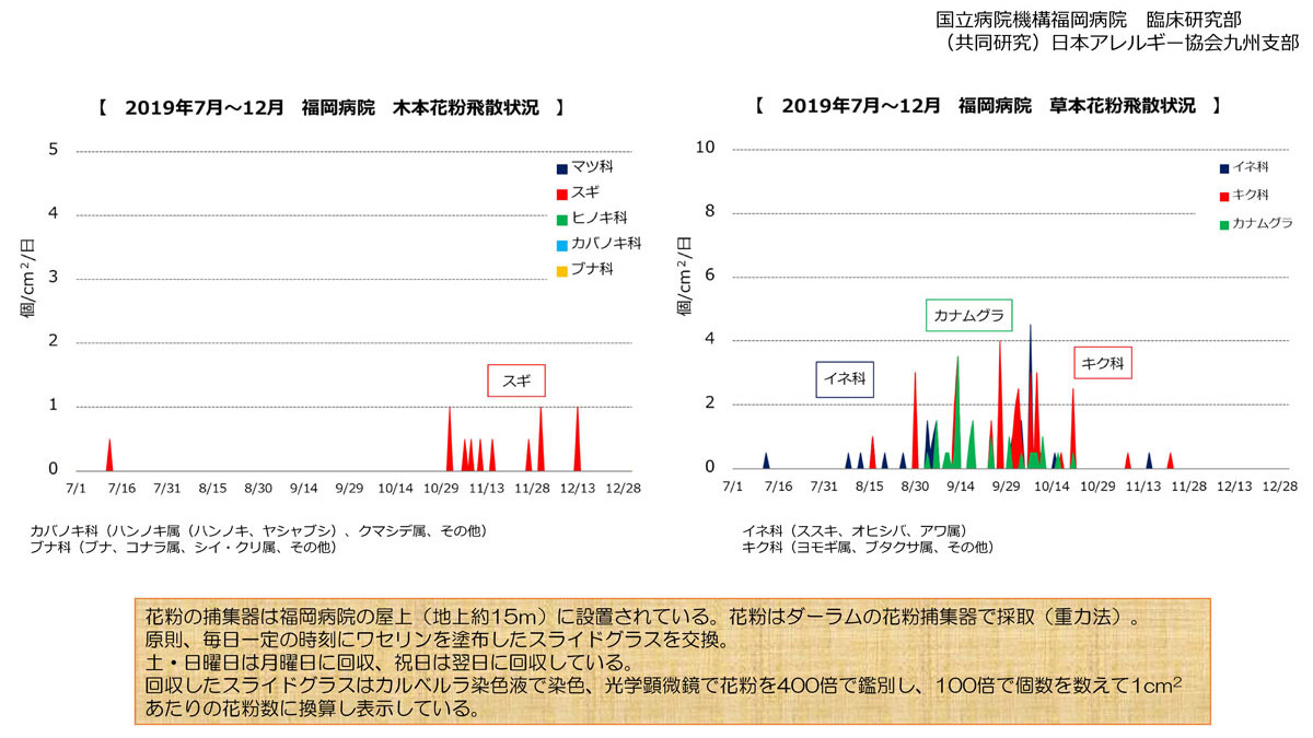 花粉飛散状況4