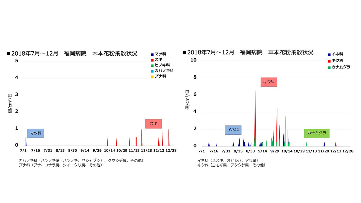 花粉情報 リンク 福岡病院 国立病院機構