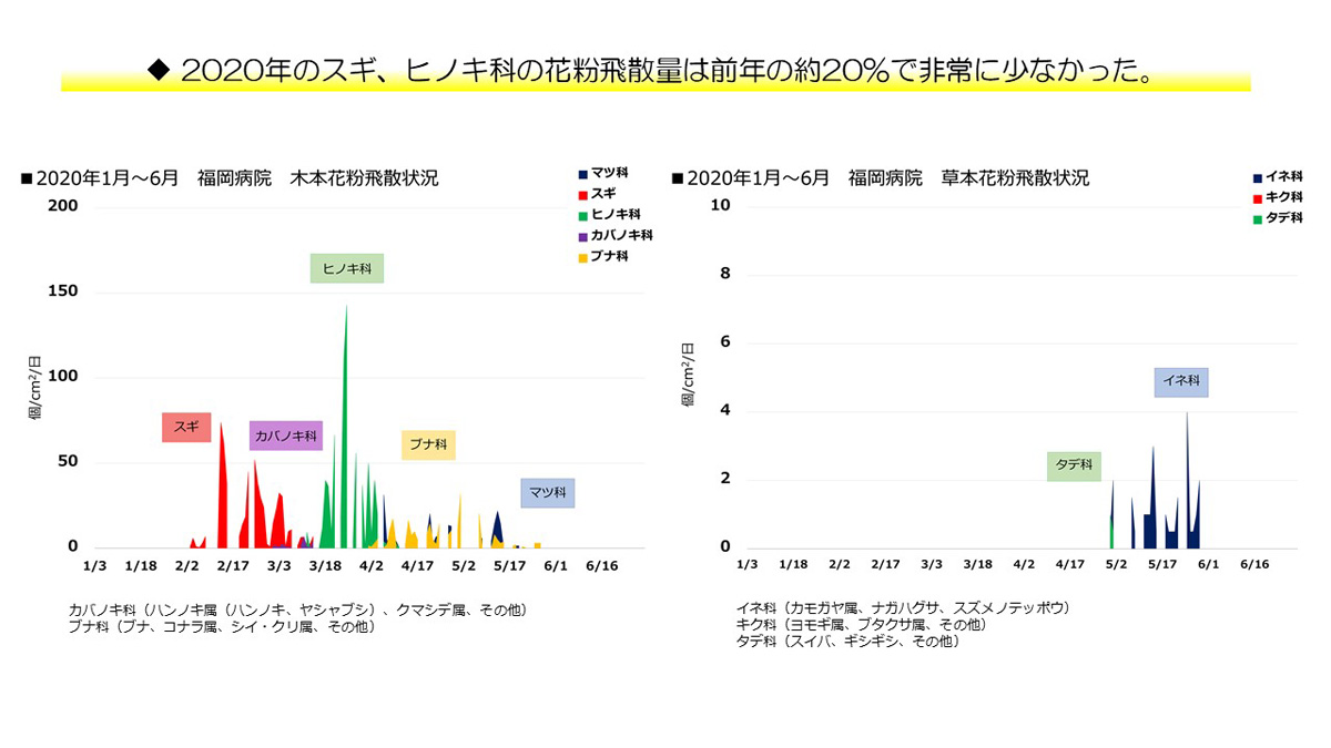 花粉情報 リンク 福岡病院 国立病院機構