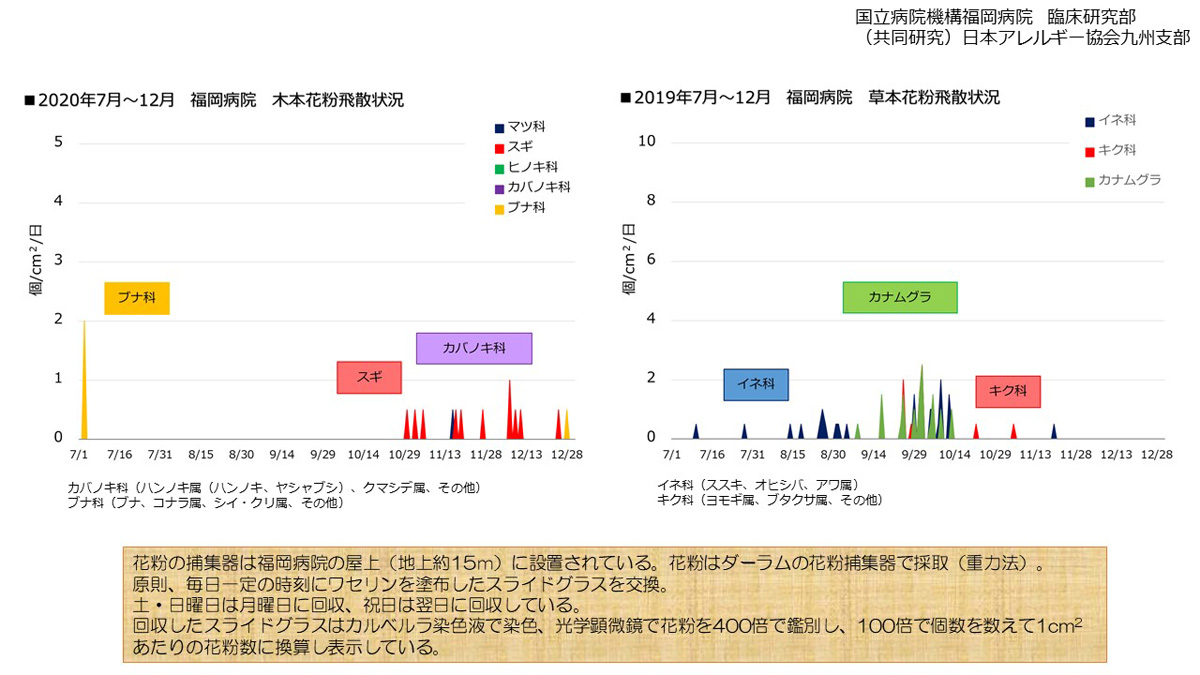 花粉情報 リンク 福岡病院 国立病院機構