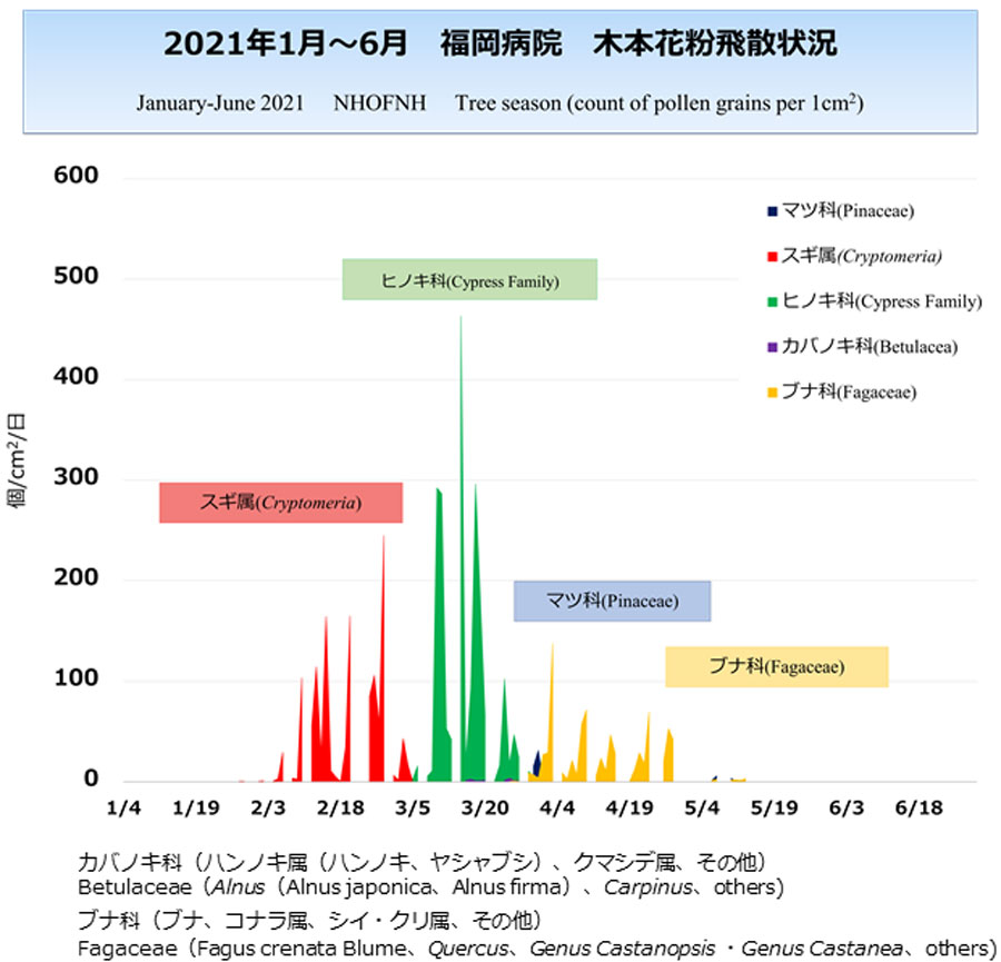 花粉情報 リンク 福岡病院 国立病院機構