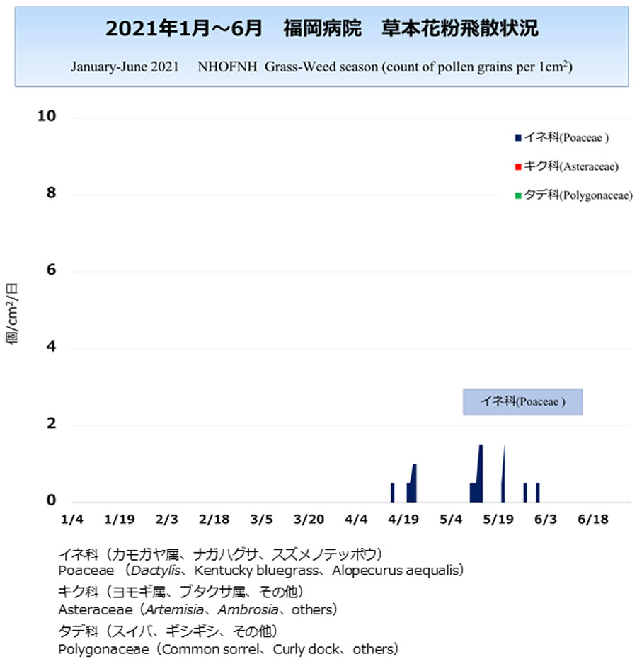 花粉情報 リンク 福岡病院 国立病院機構