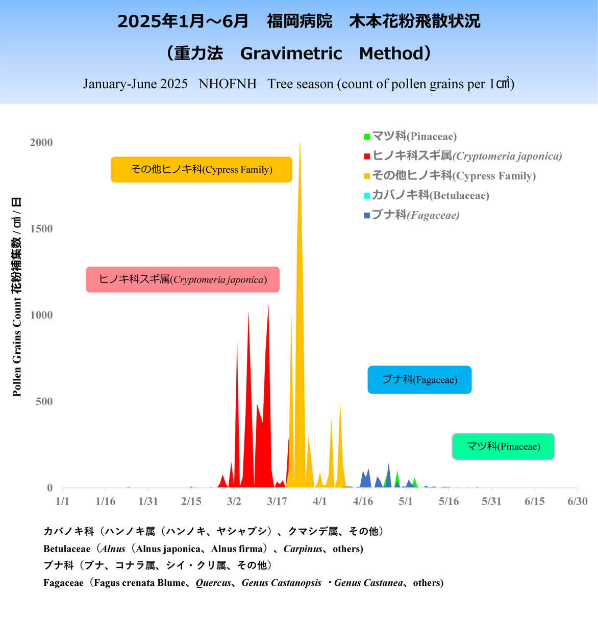2025年1～6月木本花粉飛散状況
