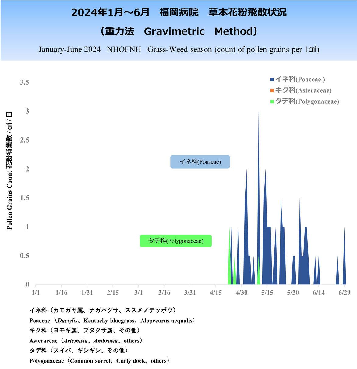 2024年1～6月草本花粉飛散状況