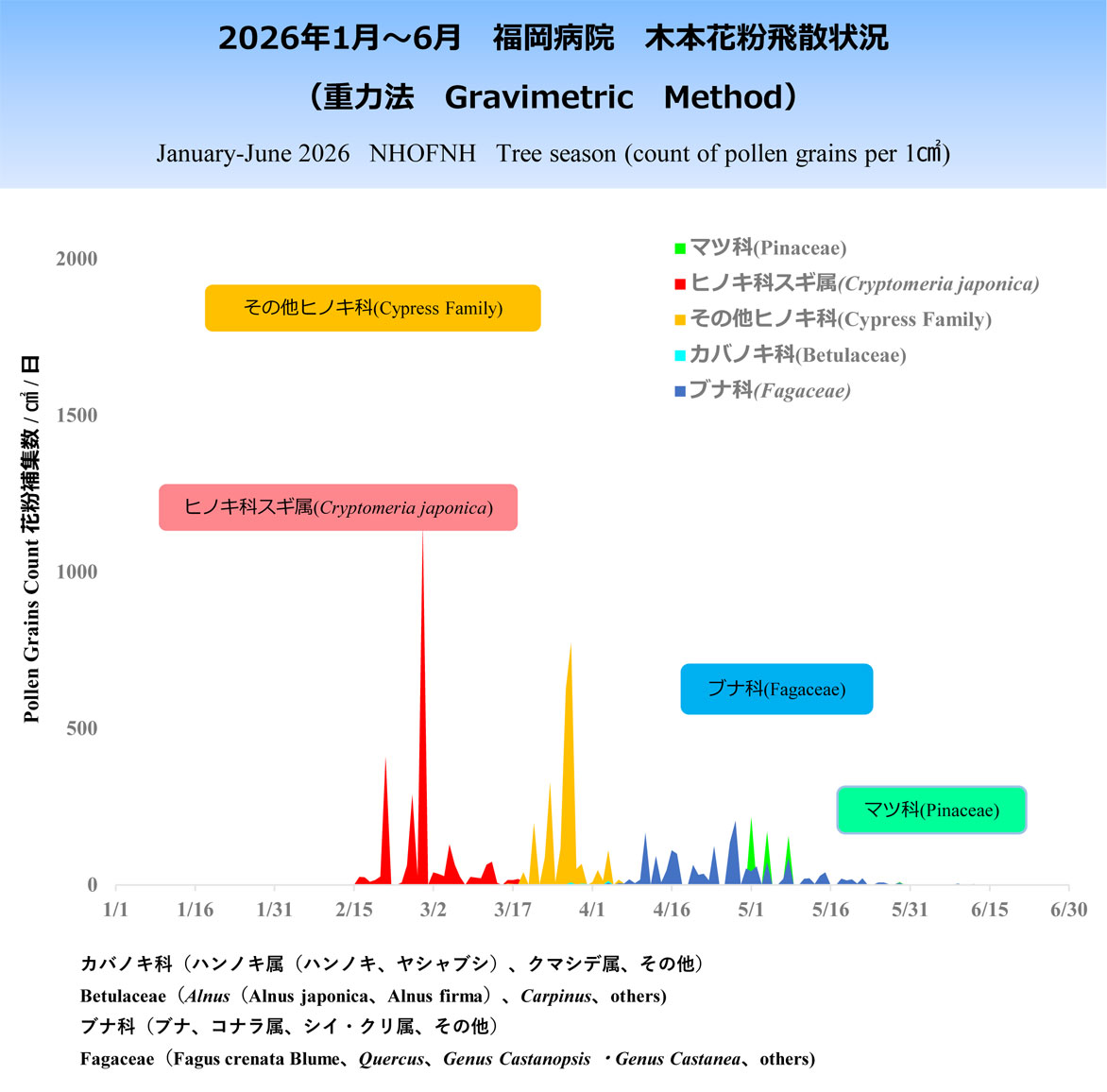 2025年1~6月木本花粉飛散状況
