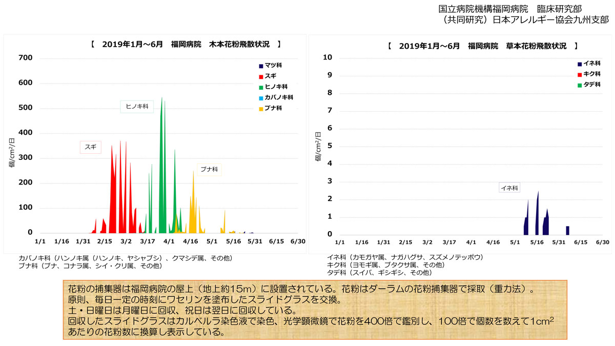 花粉飛散状況1