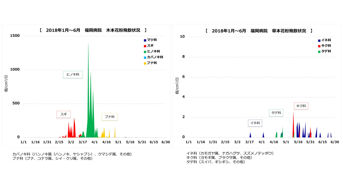 花粉飛散状況2