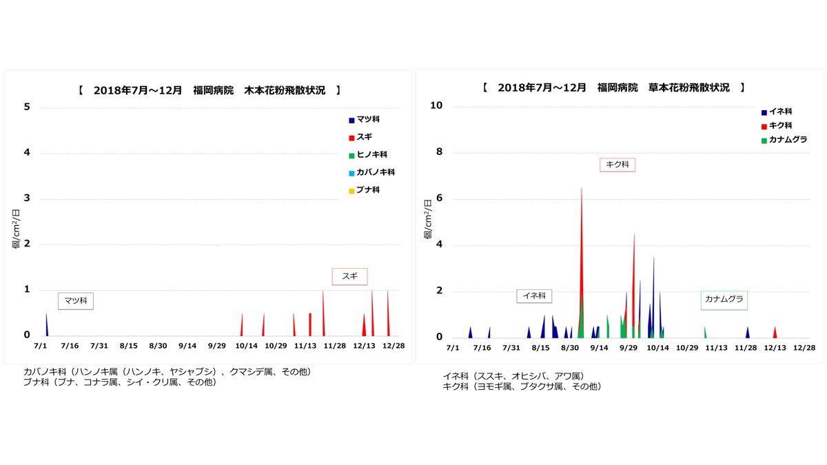 花粉飛散状況3